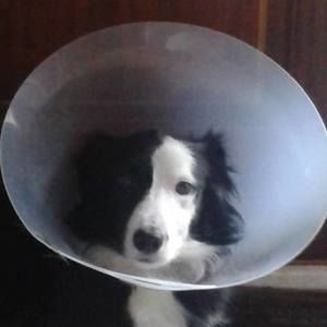 Meet your Posher, Alma